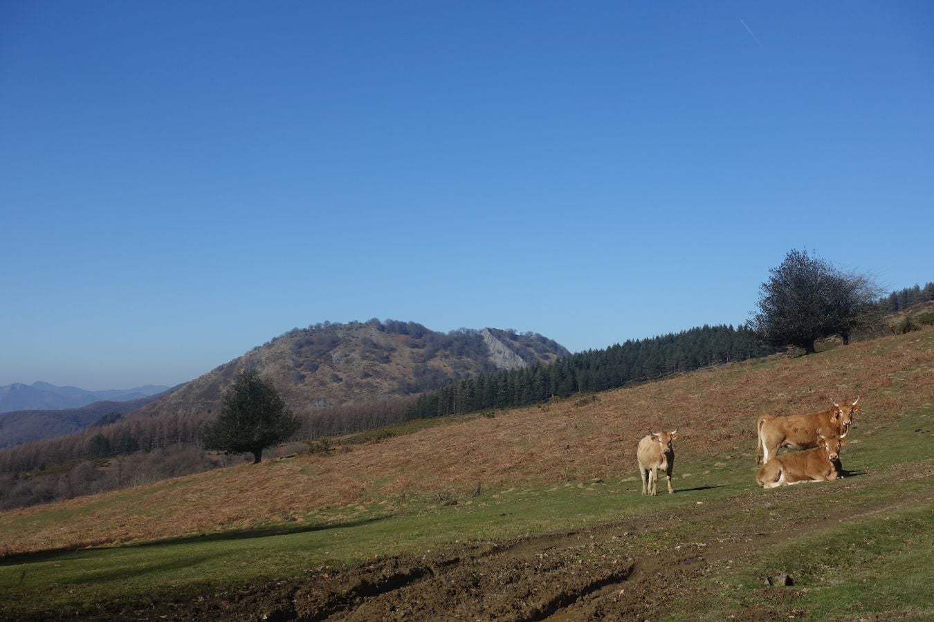 Fotos: Guratz, de camino a Santa Bárbara