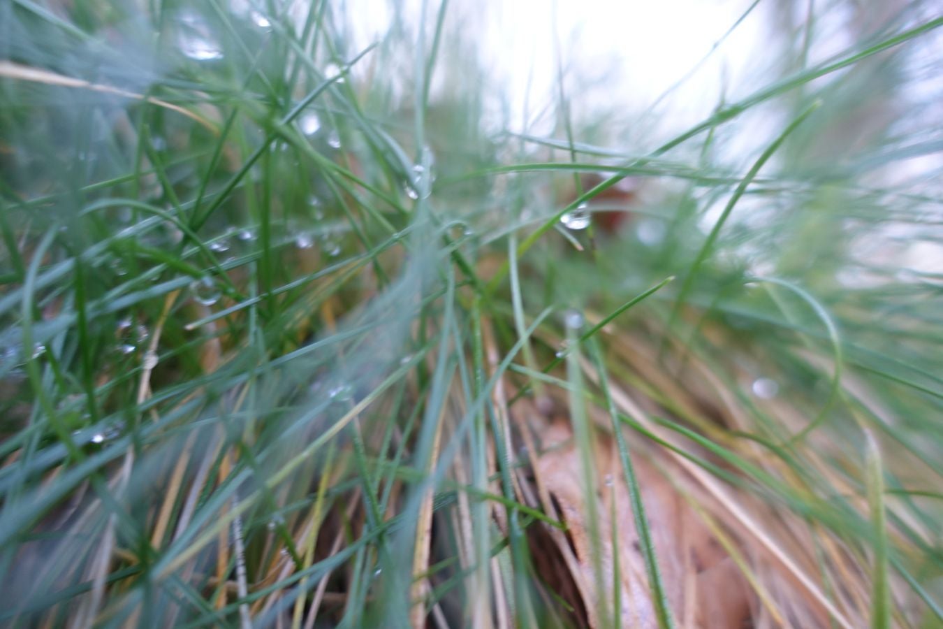 Fotos: Guratz, de camino a Santa Bárbara