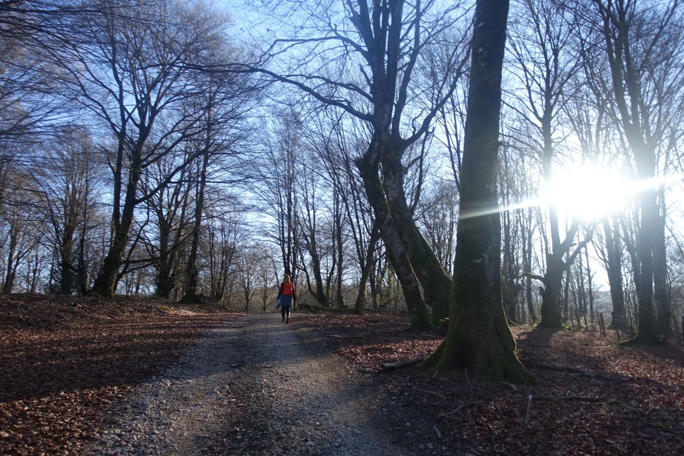Fotos: Guratz, de camino a Santa Bárbara