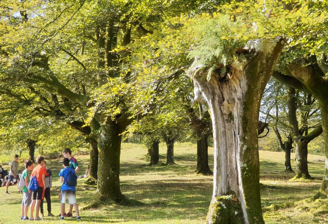 Paisaia zirraragarriz inguraturiko paga-motz apartak ikus daitezke. 