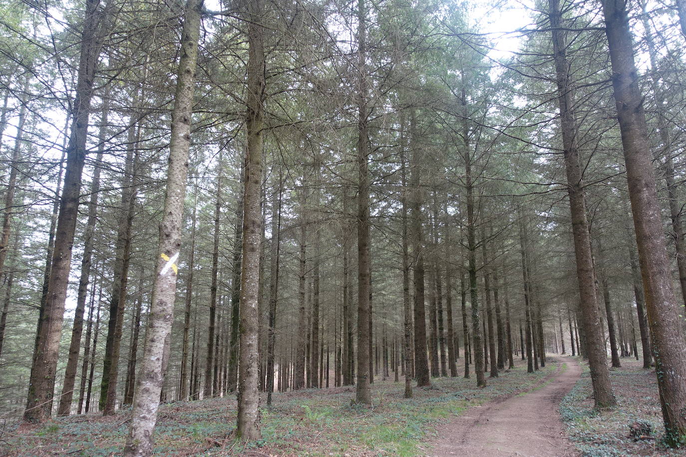 Fotos: Intxur, por el antiguo castro de Tolosaldea