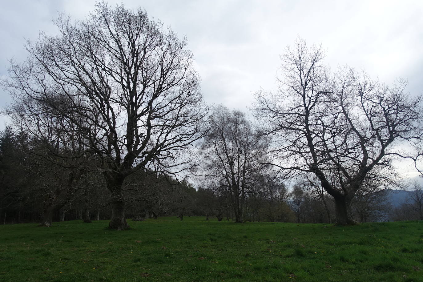 Fotos: Intxur, por el antiguo castro de Tolosaldea