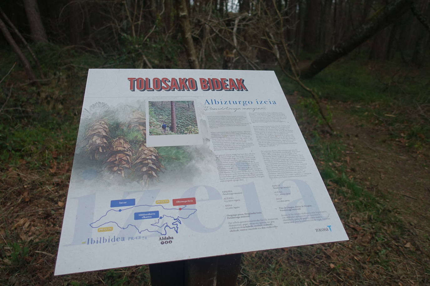 Fotos: Intxur, por el antiguo castro de Tolosaldea