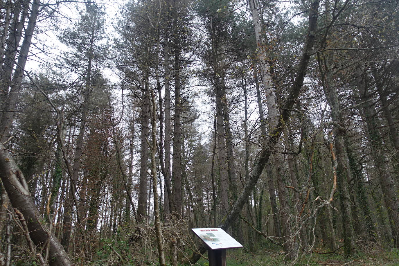 Fotos: Intxur, por el antiguo castro de Tolosaldea