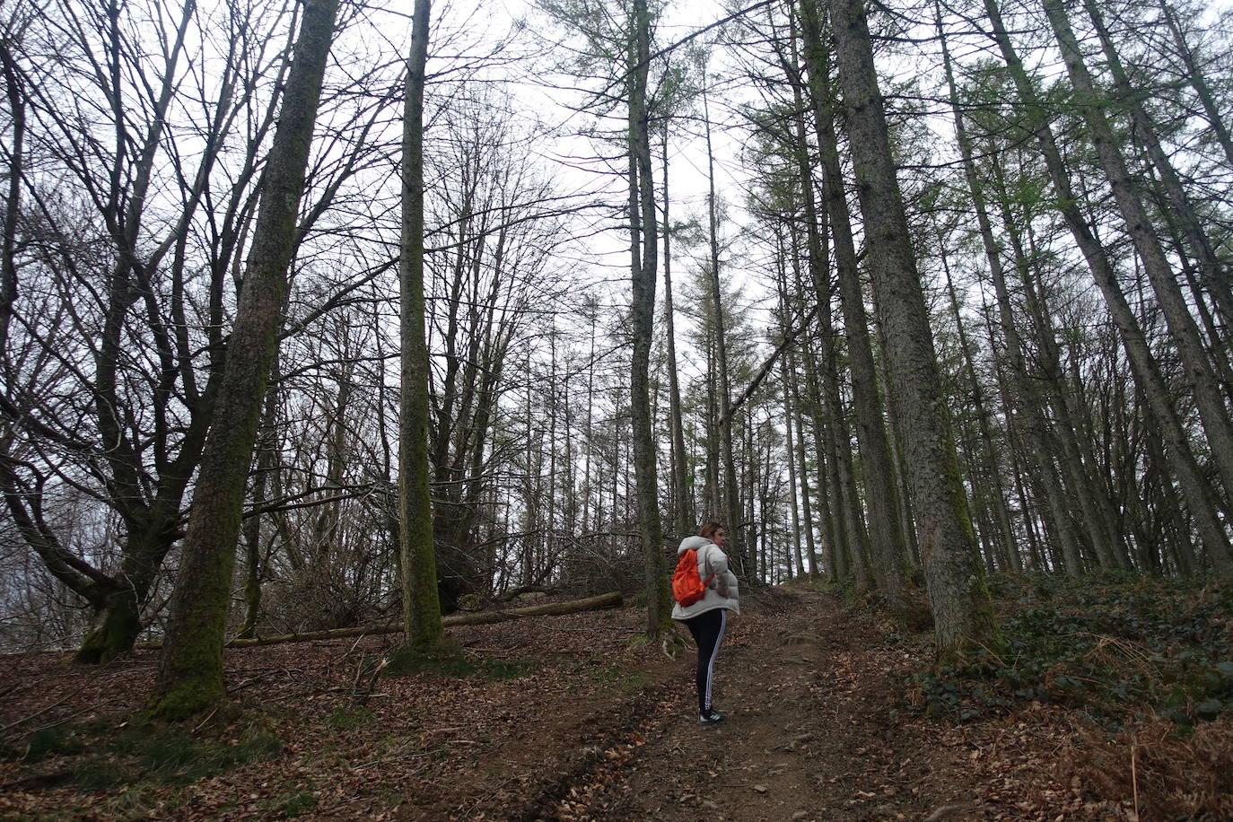 Fotos: Intxur, por el antiguo castro de Tolosaldea