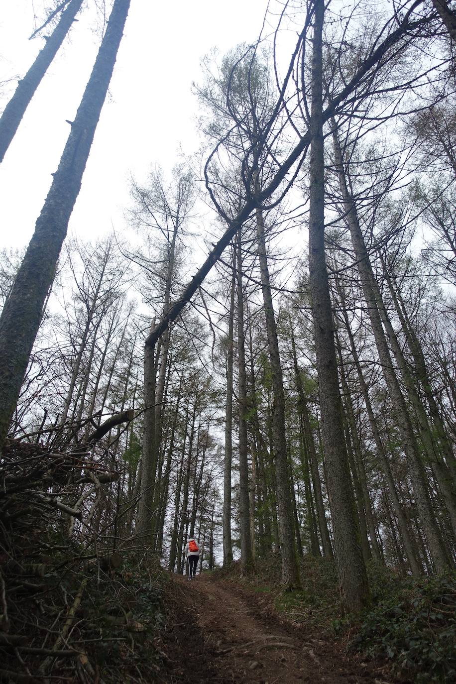 Fotos: Intxur, por el antiguo castro de Tolosaldea