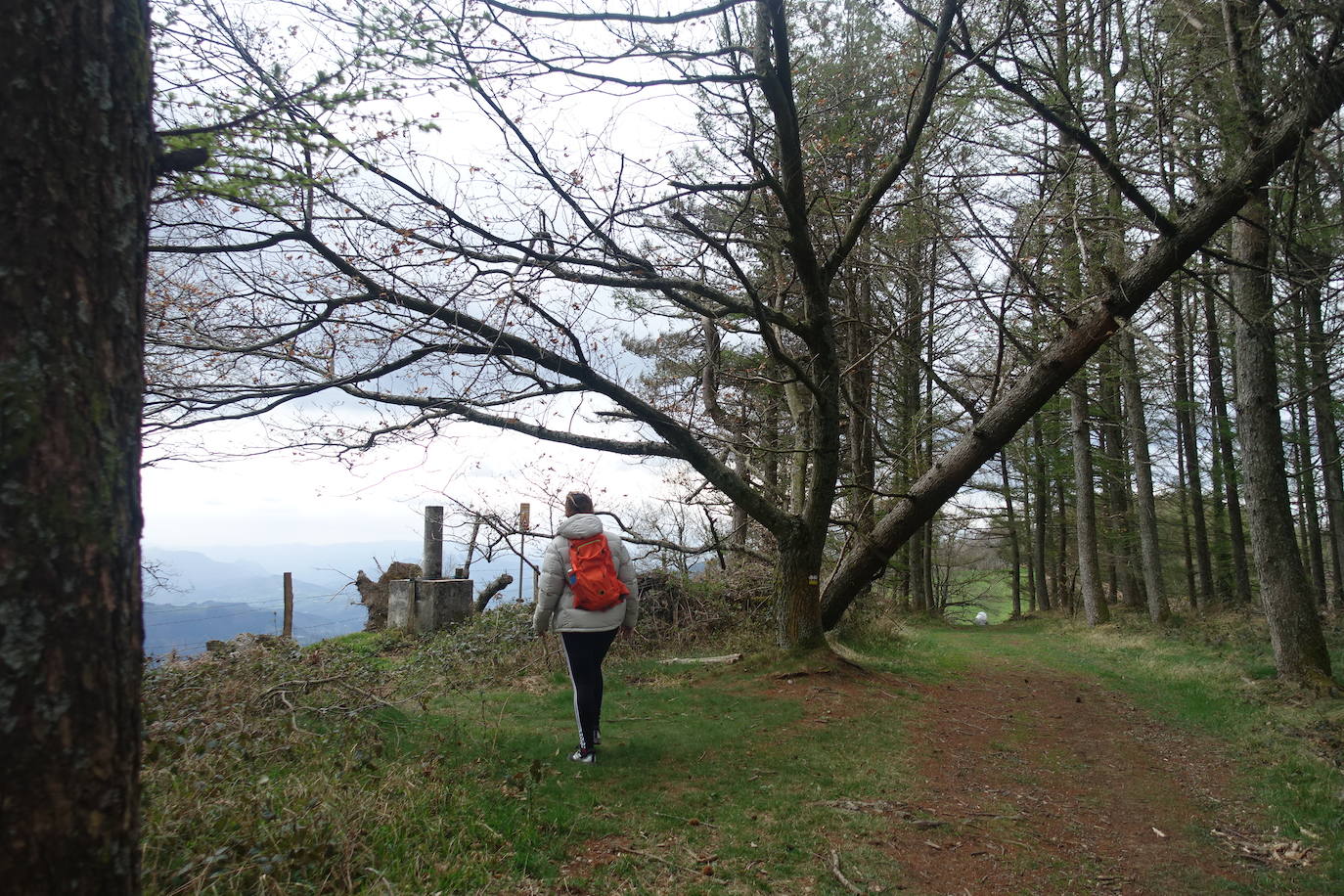 Fotos: Intxur, por el antiguo castro de Tolosaldea