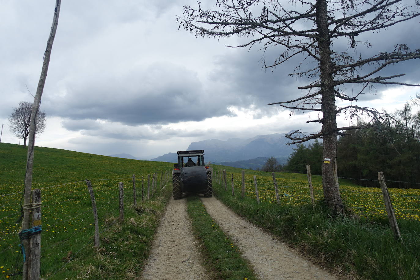 Fotos: Intxur, por el antiguo castro de Tolosaldea