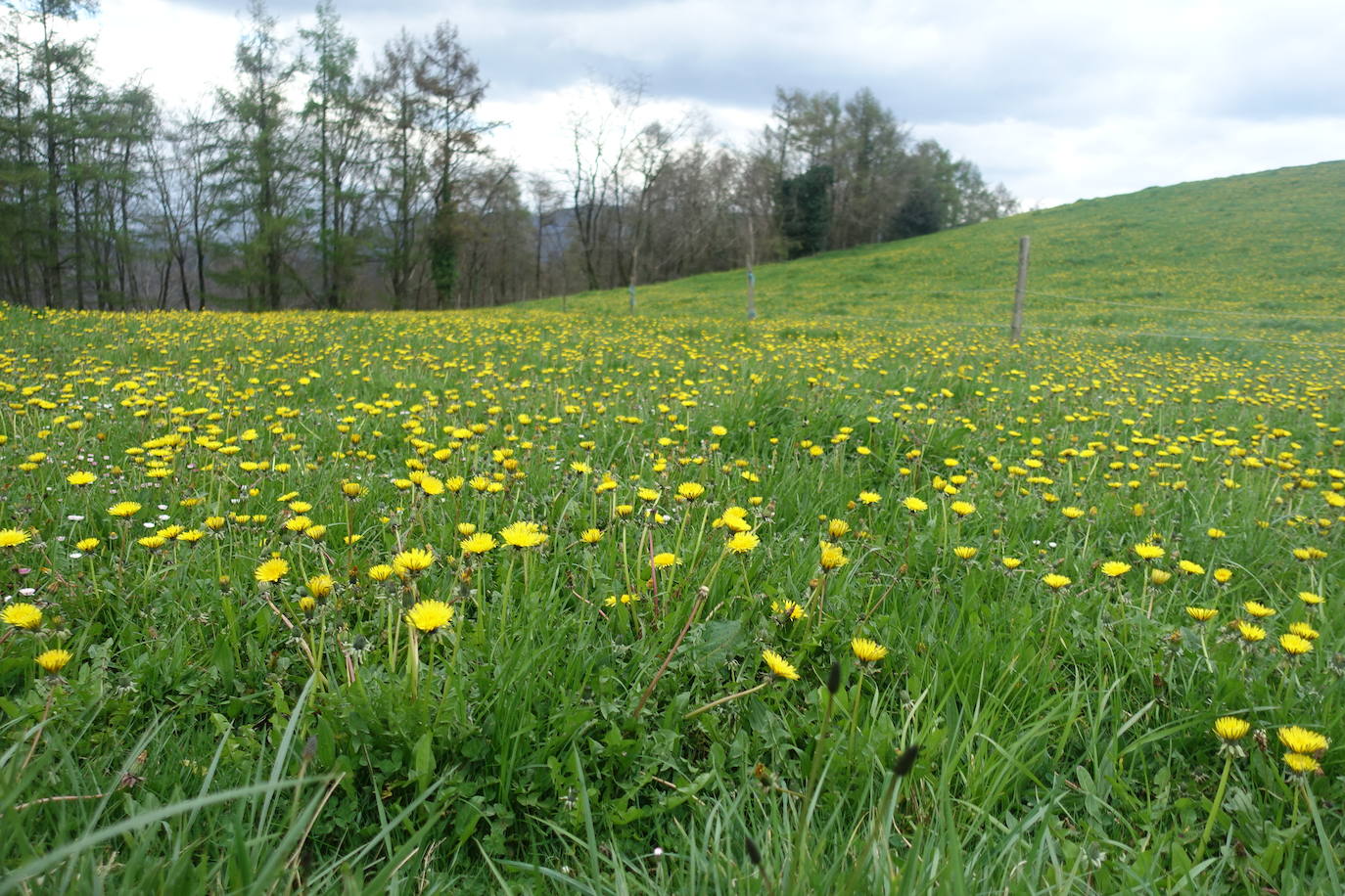Fotos: Intxur, por el antiguo castro de Tolosaldea