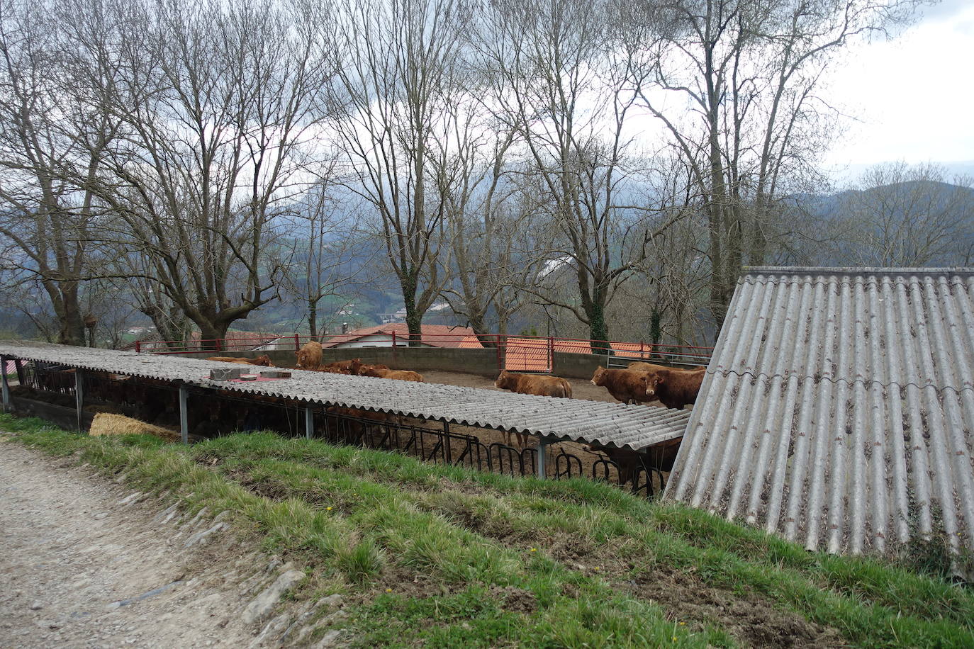 Fotos: Intxur, por el antiguo castro de Tolosaldea