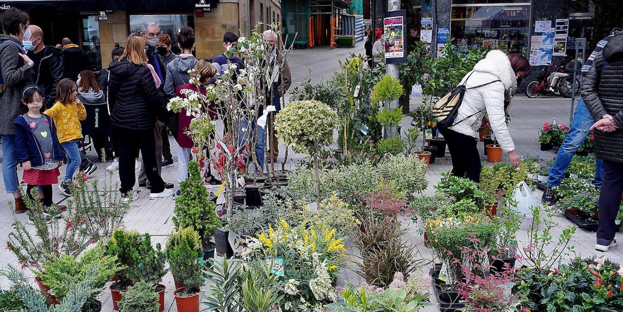 La feria de flores y plantas vuelve fiel a su cita mañana en la Alameda de  Gamon | El Diario Vasco