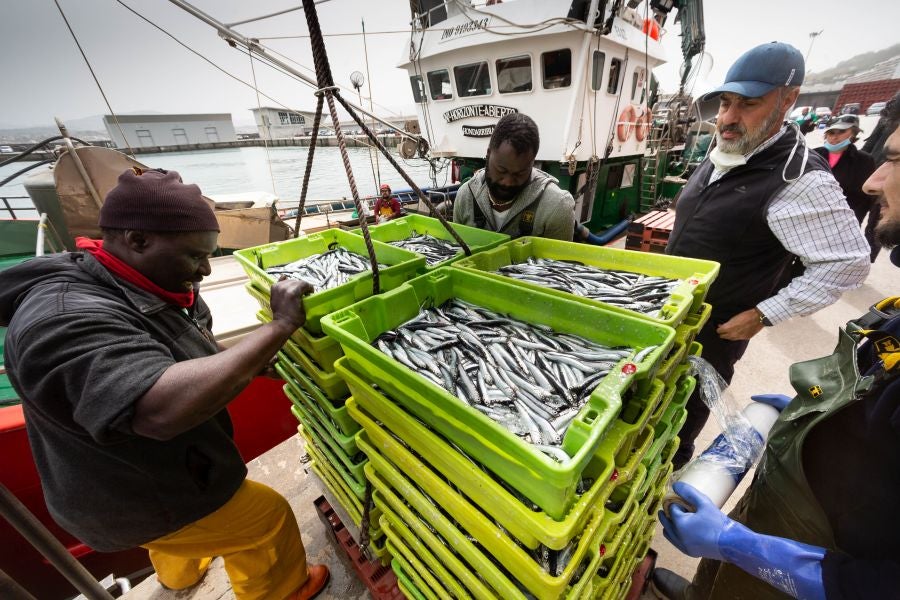 Fotos: La flota vuelve a la mar
