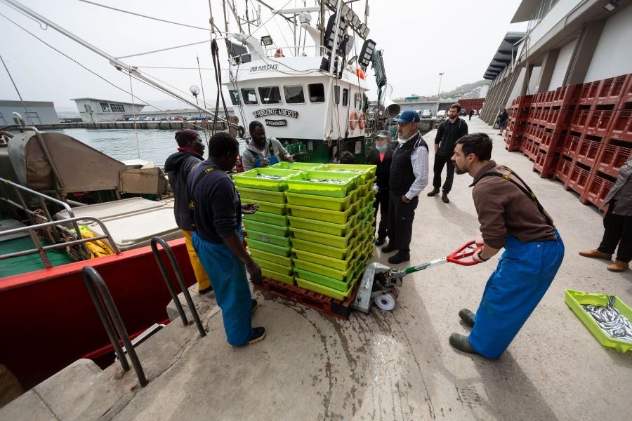 Fotos: La flota vuelve a la mar