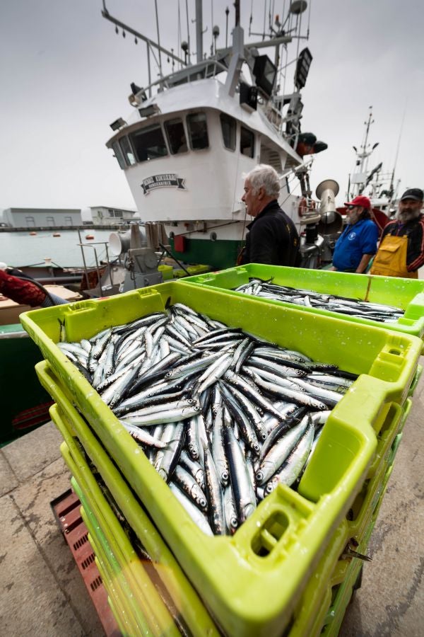 Fotos: La flota vuelve a la mar
