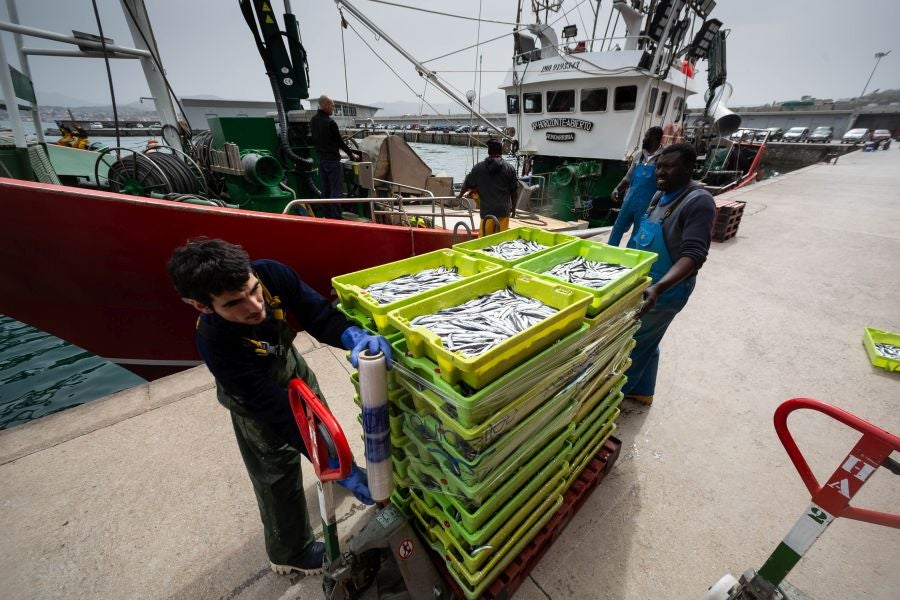 Fotos: La flota vuelve a la mar