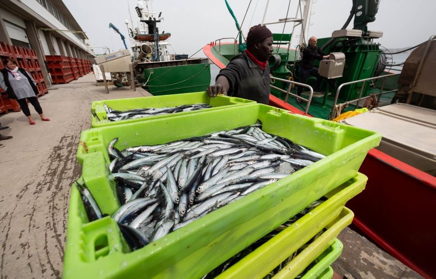 Fotos: La flota vuelve a la mar
