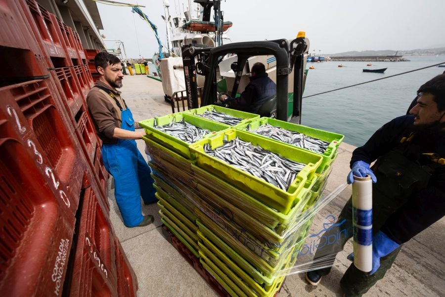 Fotos: La flota vuelve a la mar