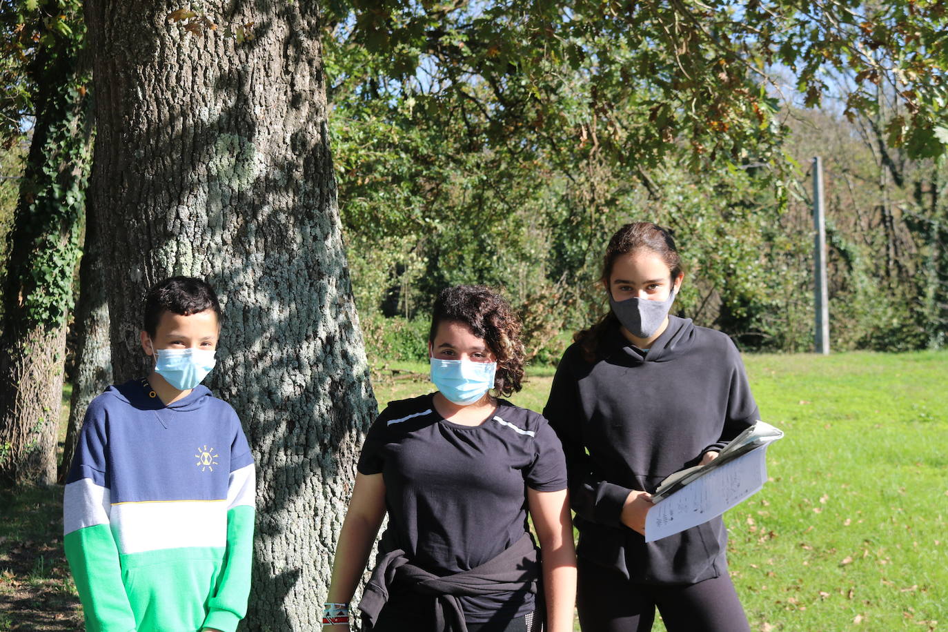 Recogiendo hojas en el bosque.
