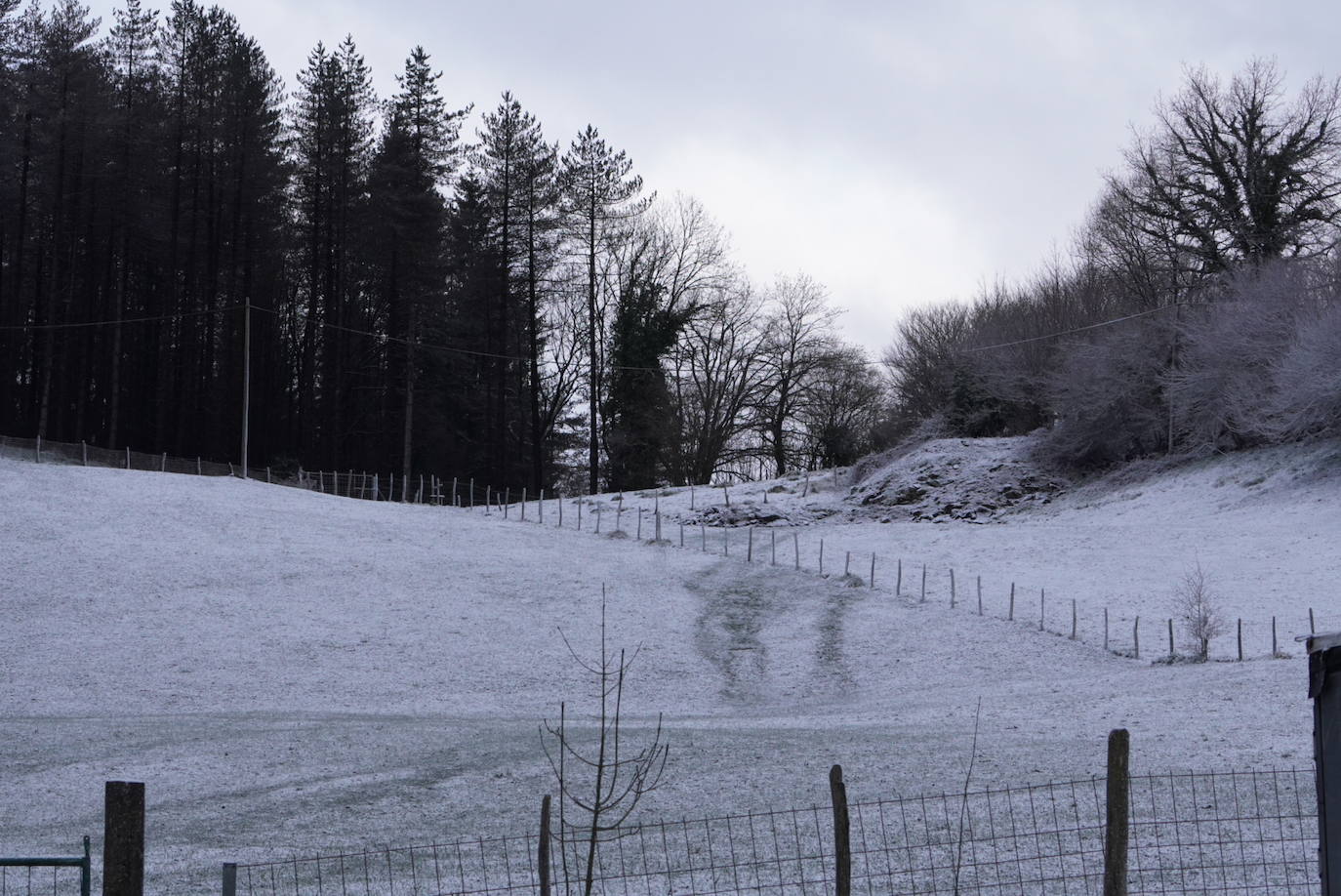 Fotos: La nieve complica la circulación en las carreteras de Gipuzkoa