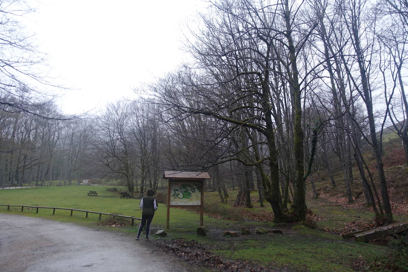 Fotos: Urepel, el señor de las mugas por siglos