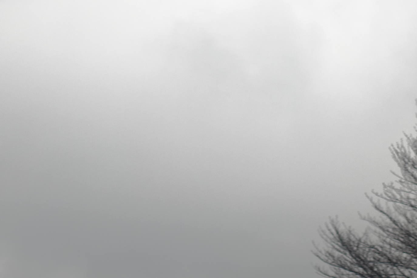 Fotos: Urepel, el señor de las mugas por siglos