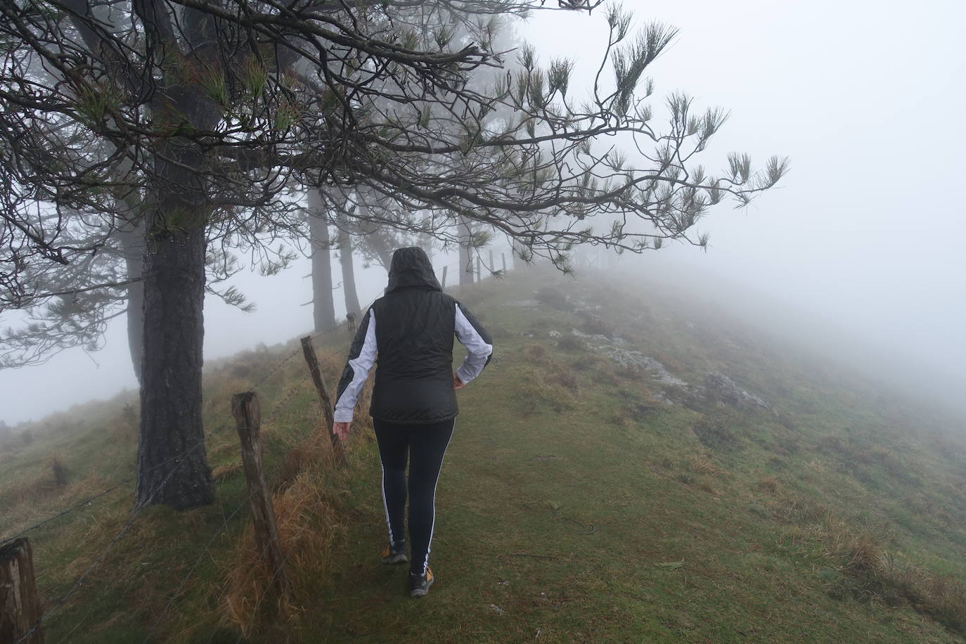 Fotos: Urepel, el señor de las mugas por siglos