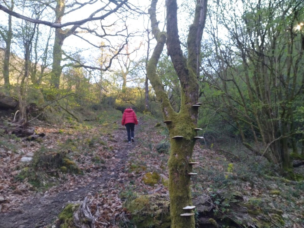 Fotos: Kopako harria, a los pies de la gran mole