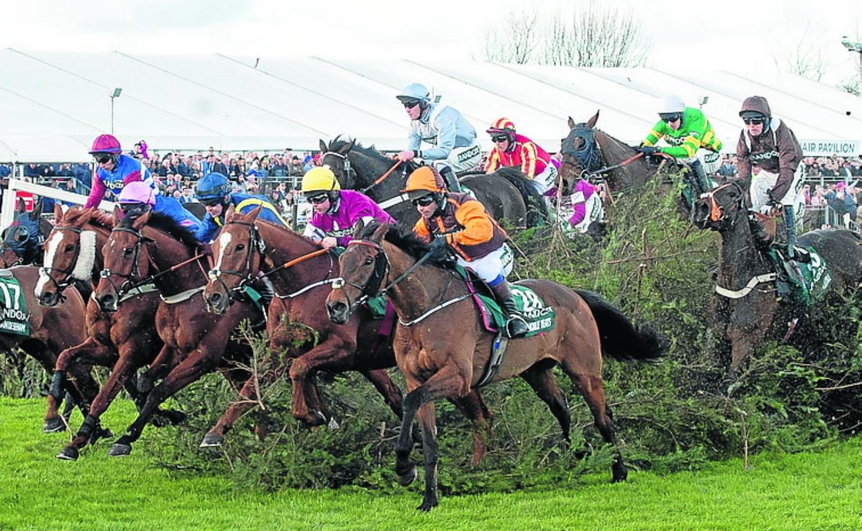 'Noble Yeats' (28) en una de las últimas vallas. 