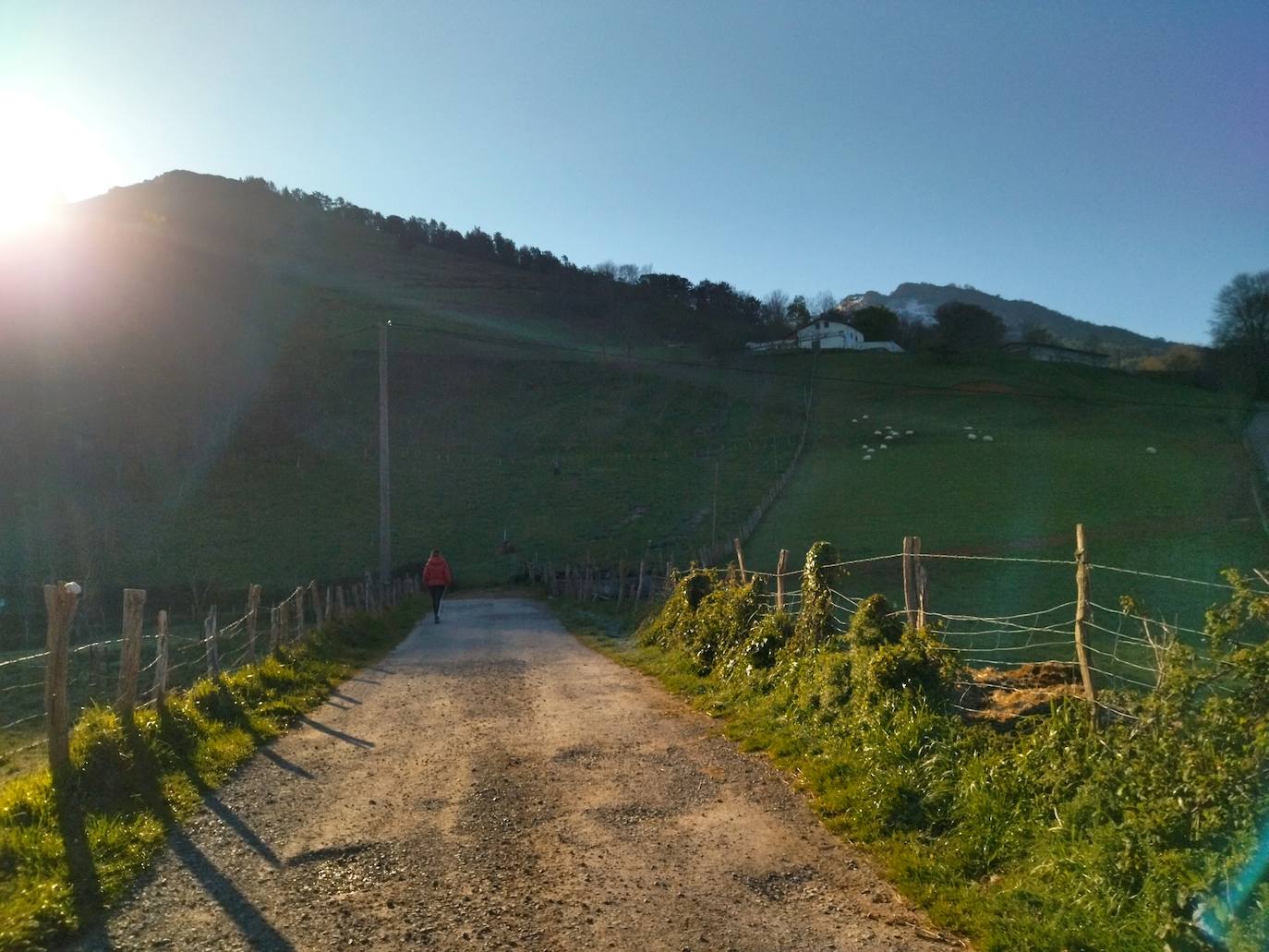 Fotos: Mulisko gaina. La magia materializada