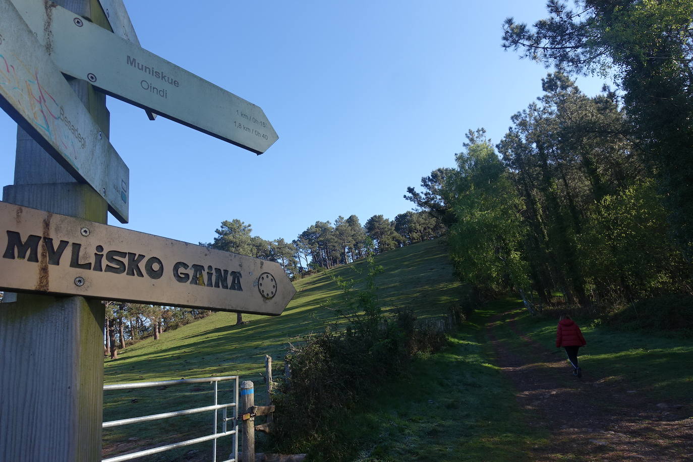 Fotos: Mulisko gaina. La magia materializada