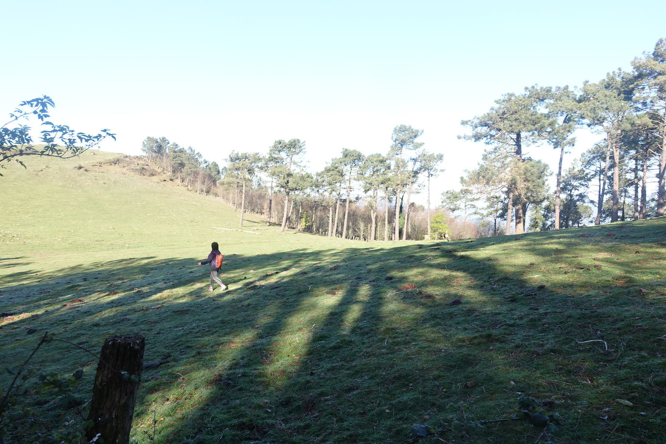 Fotos: Mulisko gaina. La magia materializada