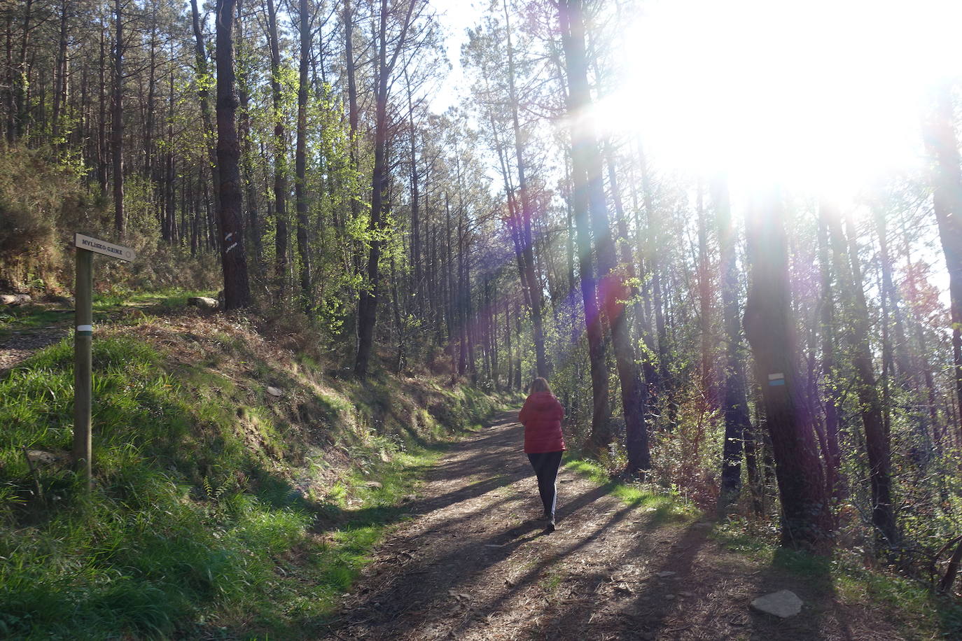 Fotos: Mulisko gaina. La magia materializada