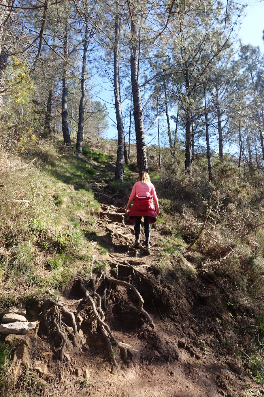 Fotos: Mulisko gaina. La magia materializada