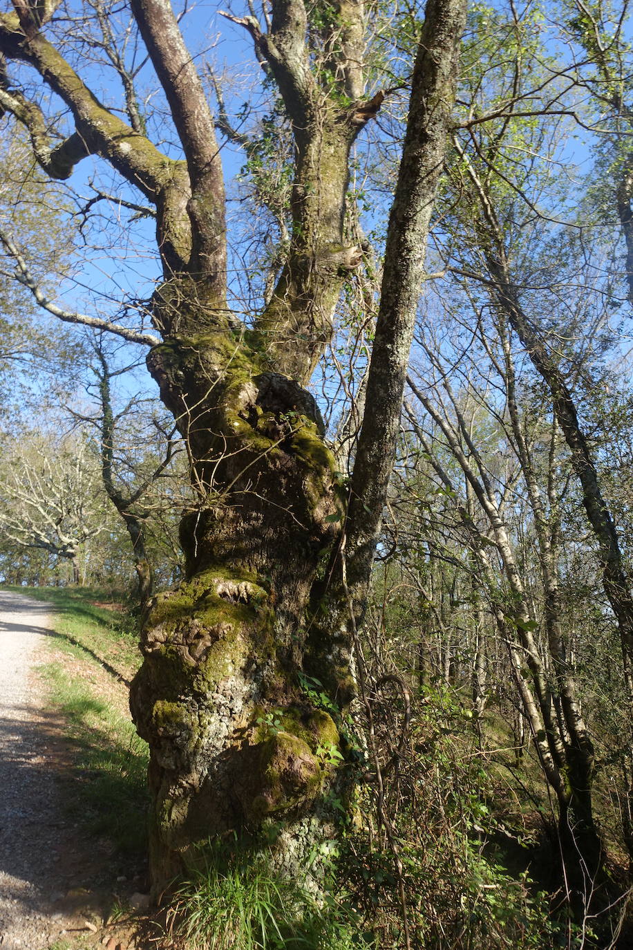 Fotos: Mulisko gaina. La magia materializada