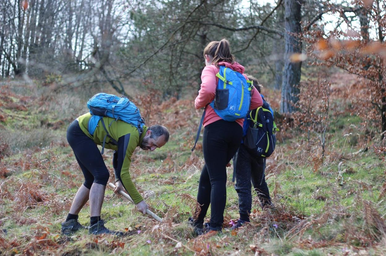 Jentilaitzen 51 zuhaitz landatu zituzten Arrolako kideek elkartearen urtemuga ospatzeko. 