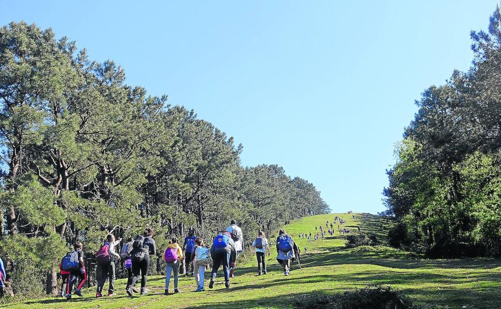 Foto: Un nutrido grupo de escolares de Landaberri ikastola de Lasarte-Oria ascienden la cuesta que les conduce hasta Oindi. Vídeo: Lo más destacado de la ruta. 