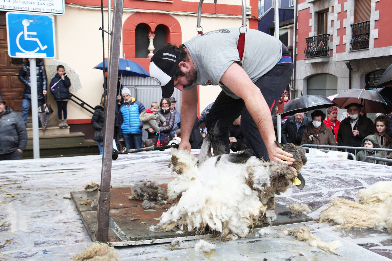 Fotos: Las mejores imágenes del Artzain eguna