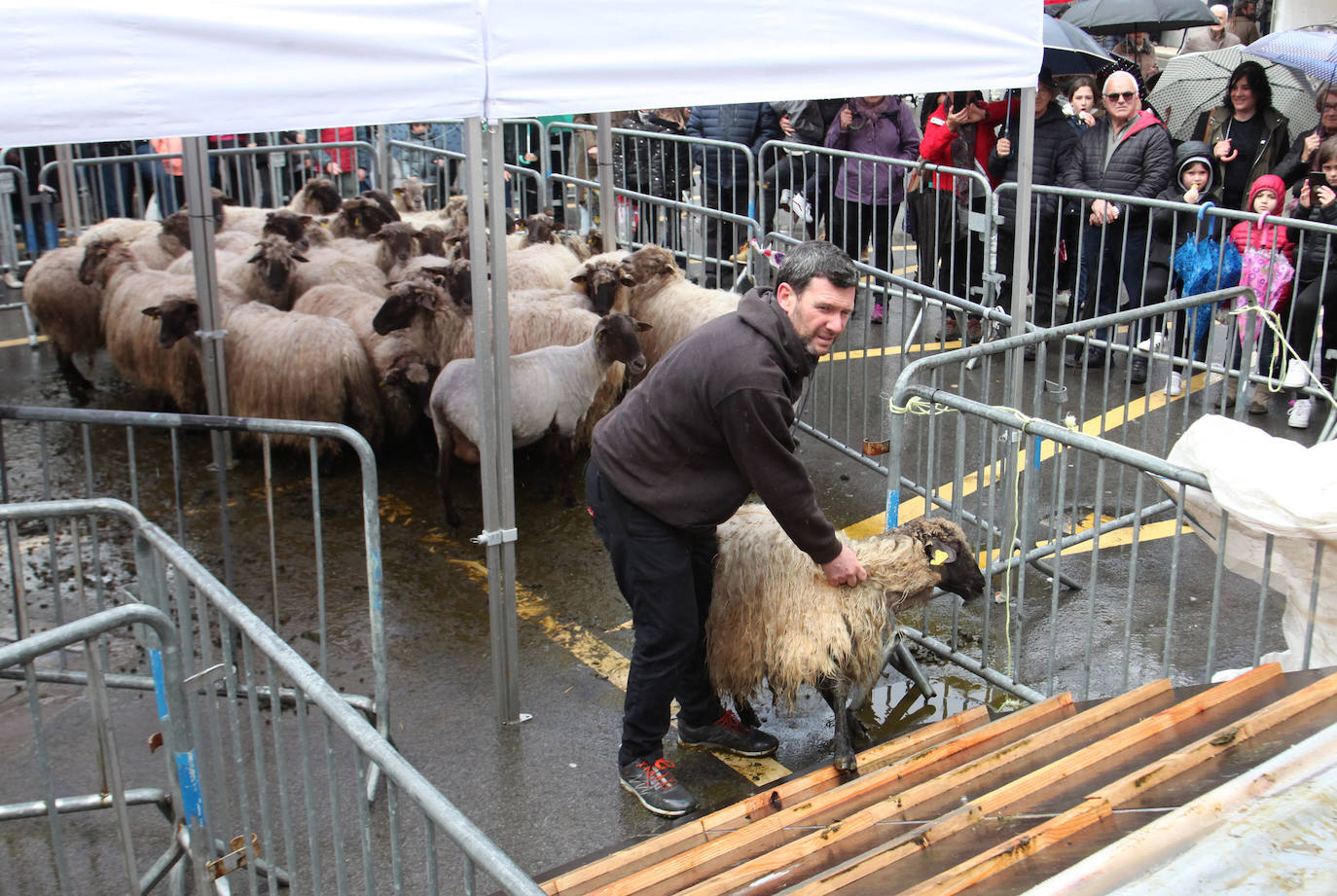 Fotos: Las mejores imágenes del Artzain eguna