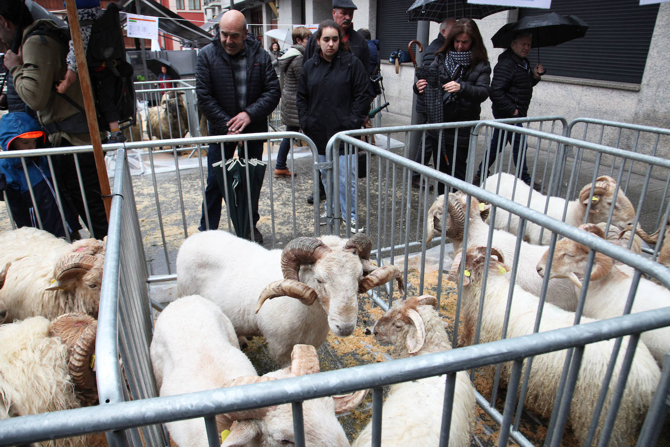 Fotos: Las mejores imágenes del Artzain eguna