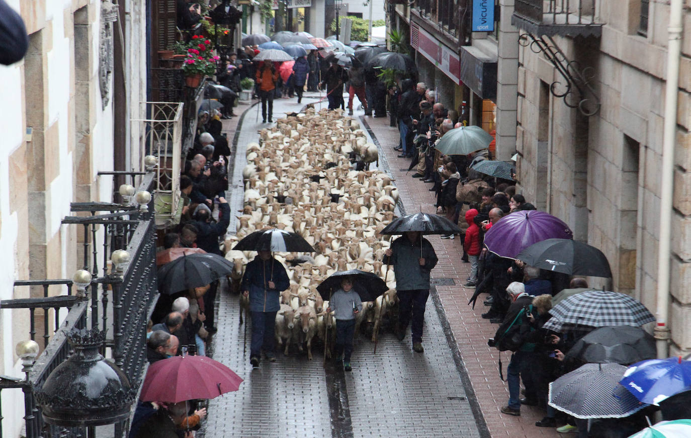 Fotos: Las mejores imágenes del Artzain eguna
