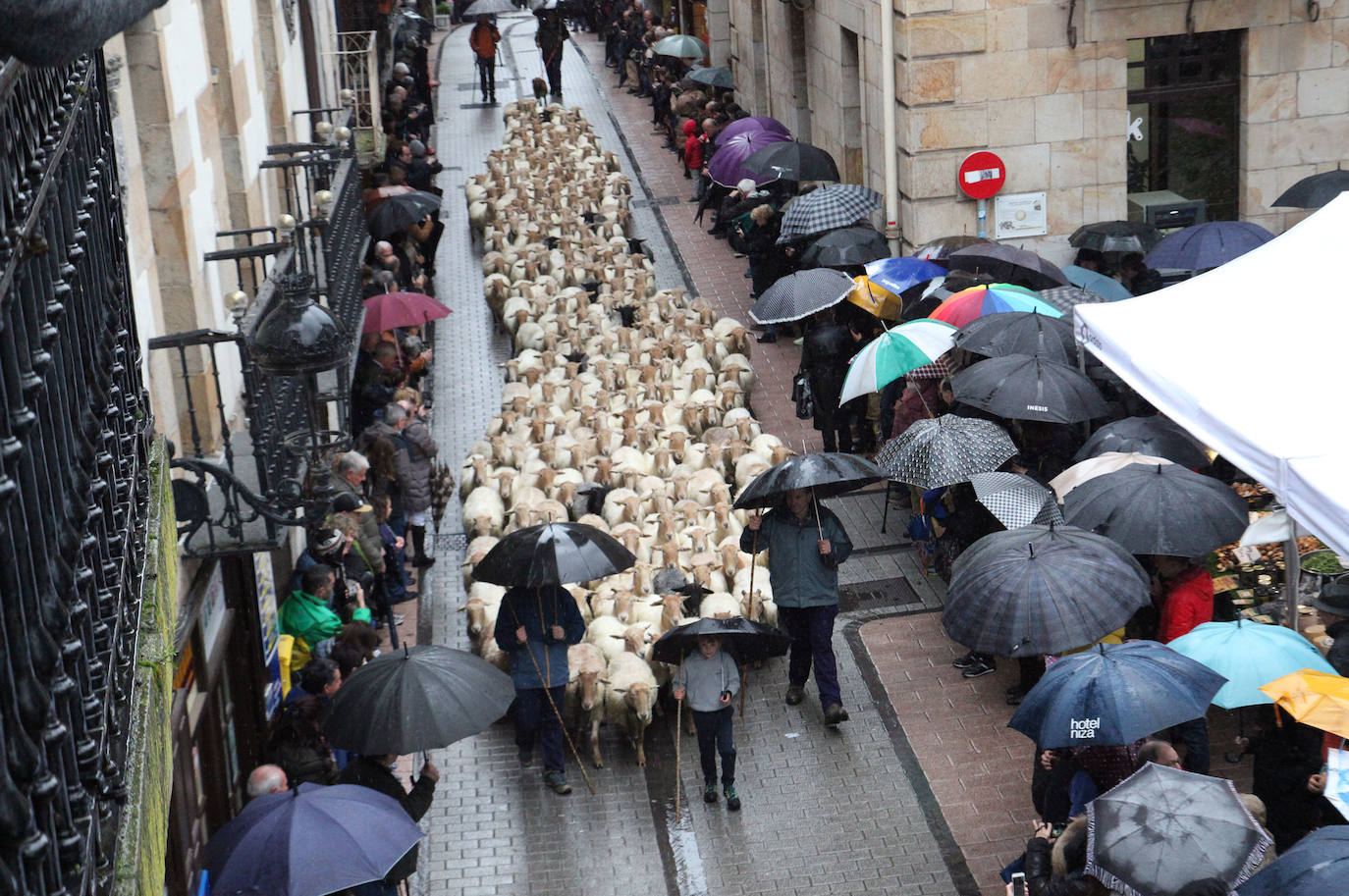 Fotos: Las mejores imágenes del Artzain eguna