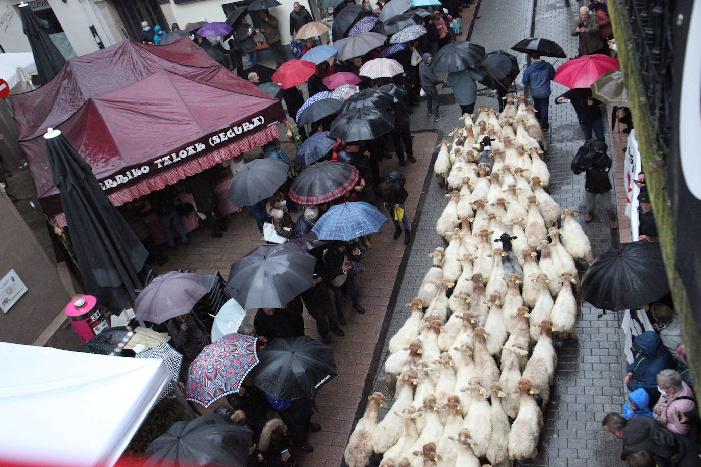 Fotos: Las mejores imágenes del Artzain eguna