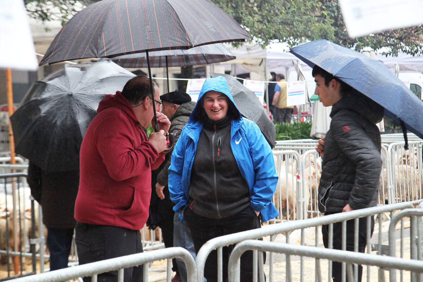 Fotos: Las mejores imágenes del Artzain eguna