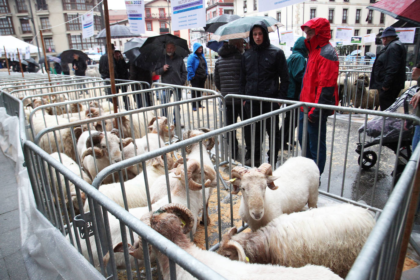 Fotos: Las mejores imágenes del Artzain eguna