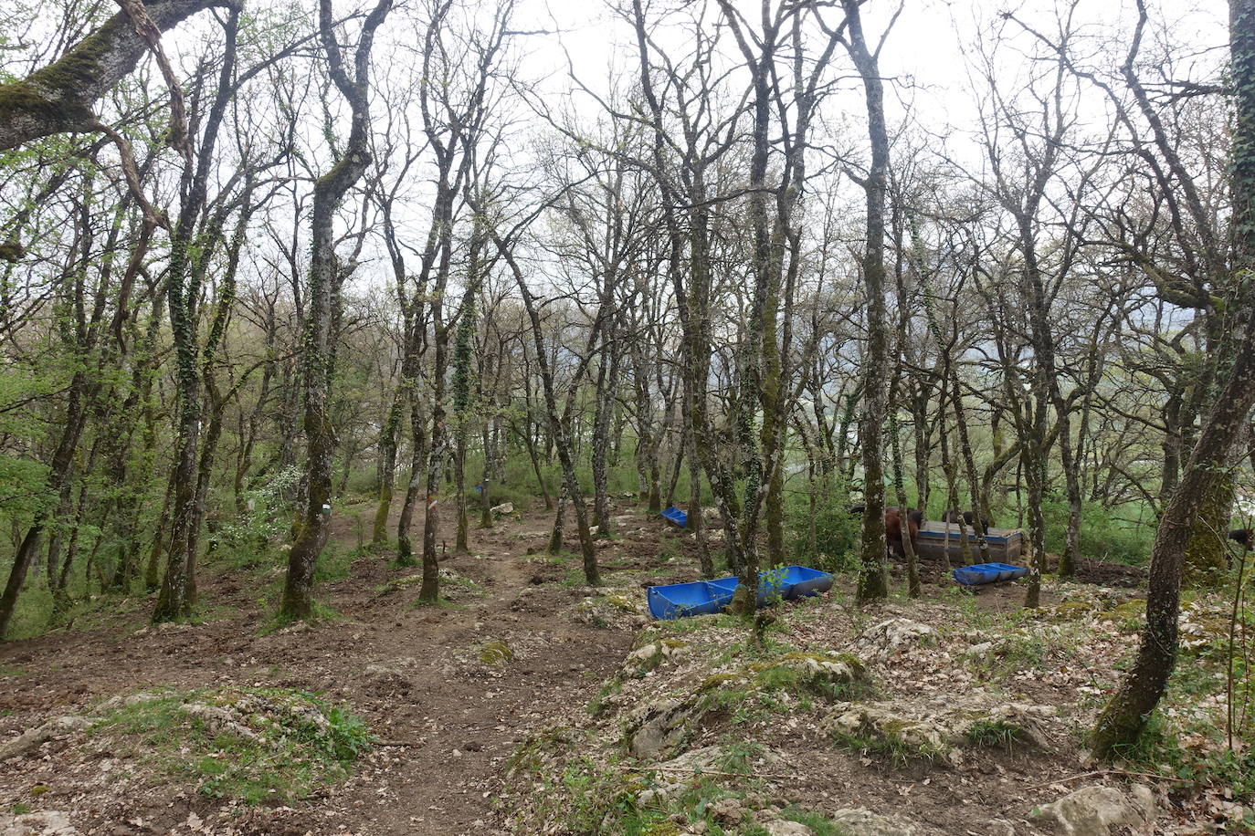 Fotos: Aitxita. La fortaleza de las Dos Hermanas