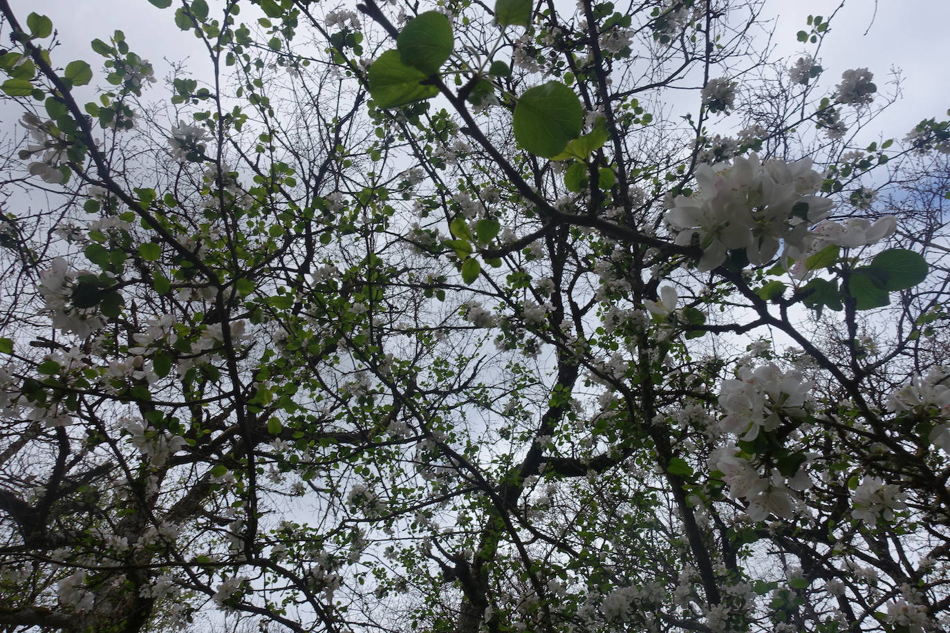 Fotos: Aitxita. La fortaleza de las Dos Hermanas