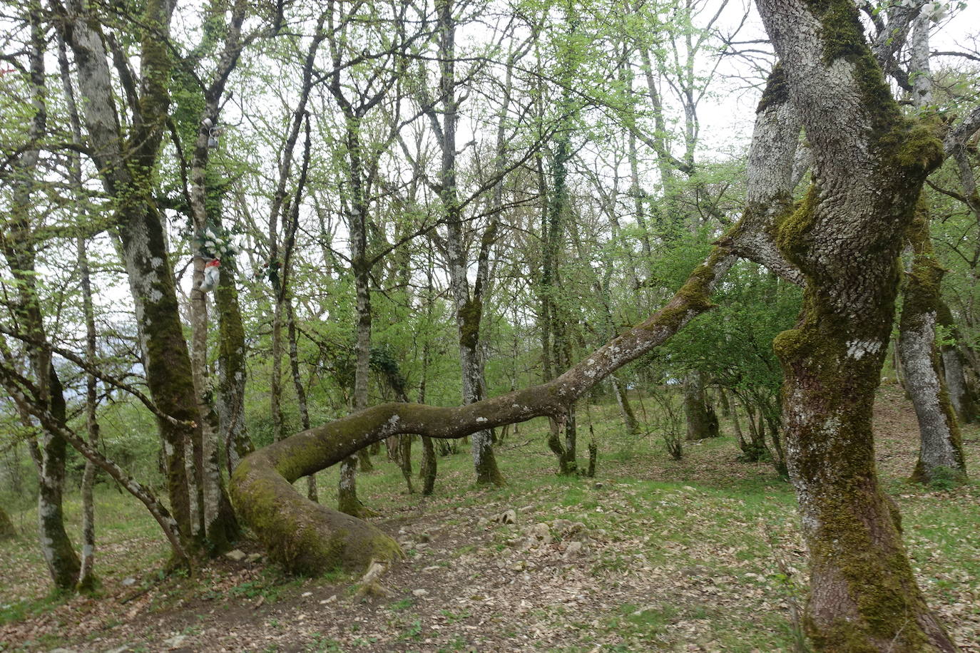 Fotos: Aitxita. La fortaleza de las Dos Hermanas
