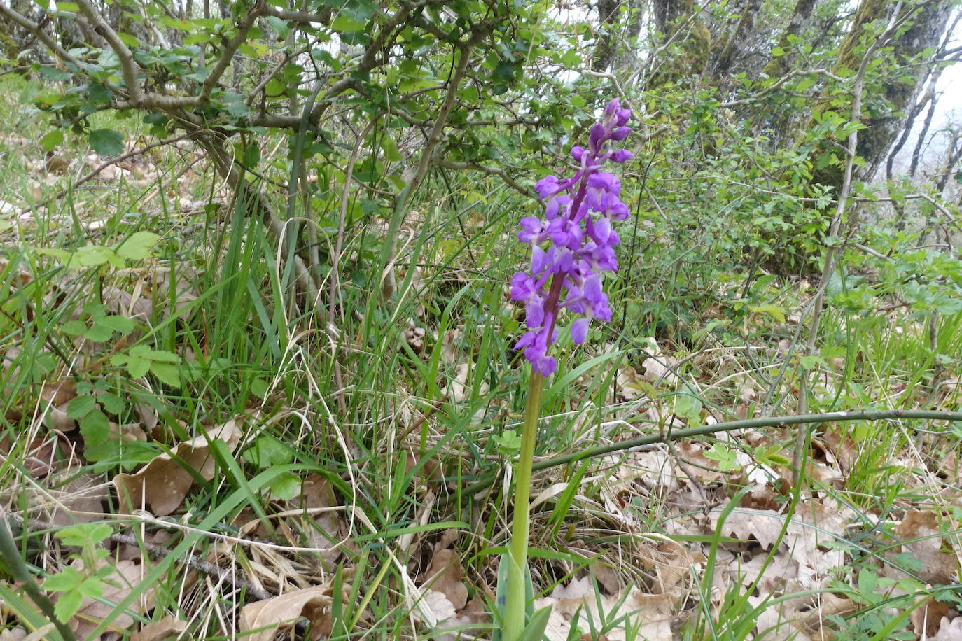 Fotos: Aitxita. La fortaleza de las Dos Hermanas