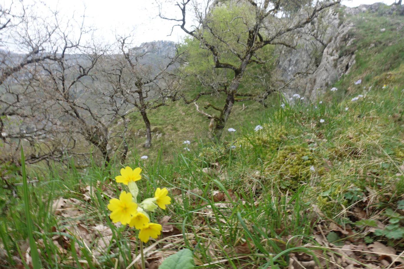 Fotos: Aitxita. La fortaleza de las Dos Hermanas