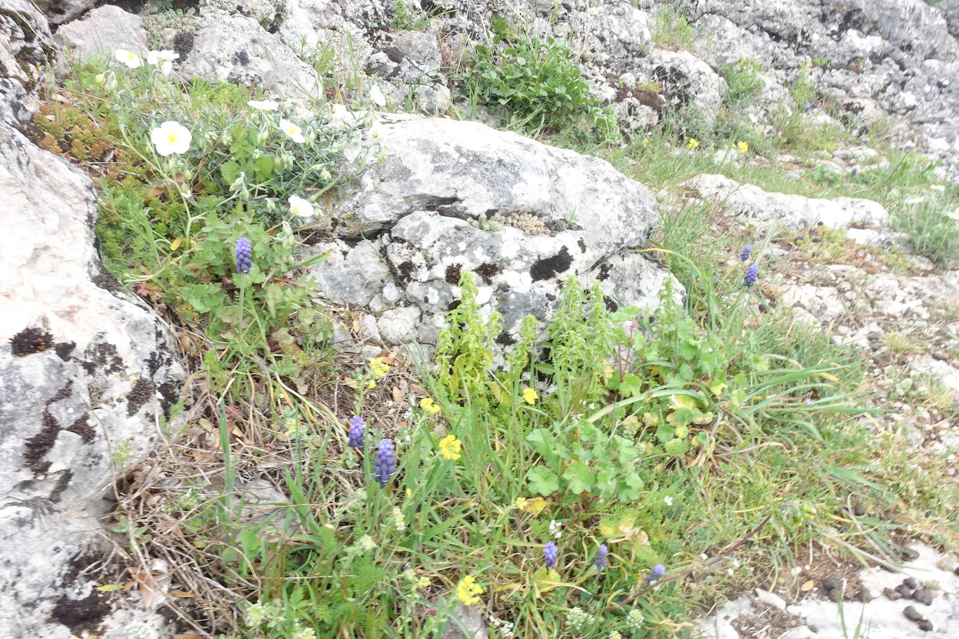 Fotos: Aitxita. La fortaleza de las Dos Hermanas